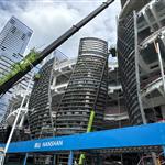 v(chung)δ(xing)Ŀ(bio)Σ